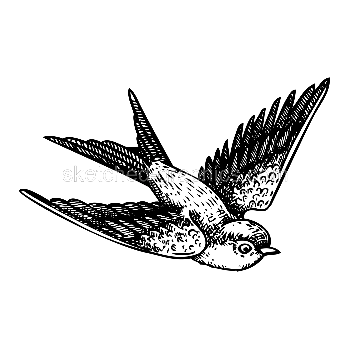 Decorative swallow bird sketch. Hand drawn vector illustration. Vintage flying bird. NOT AI generated Illustration